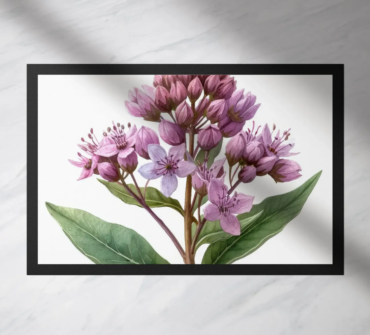 Joe Pye Weed Fiore 2 zerbino da Bold Blooms