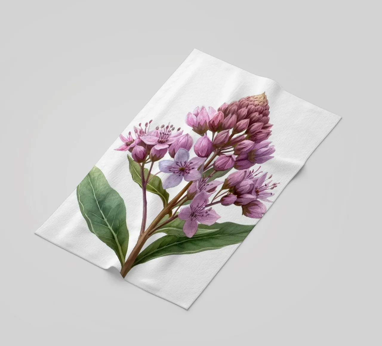 Joe Pye Weed Fiore 2 telo mare da Bold Blooms