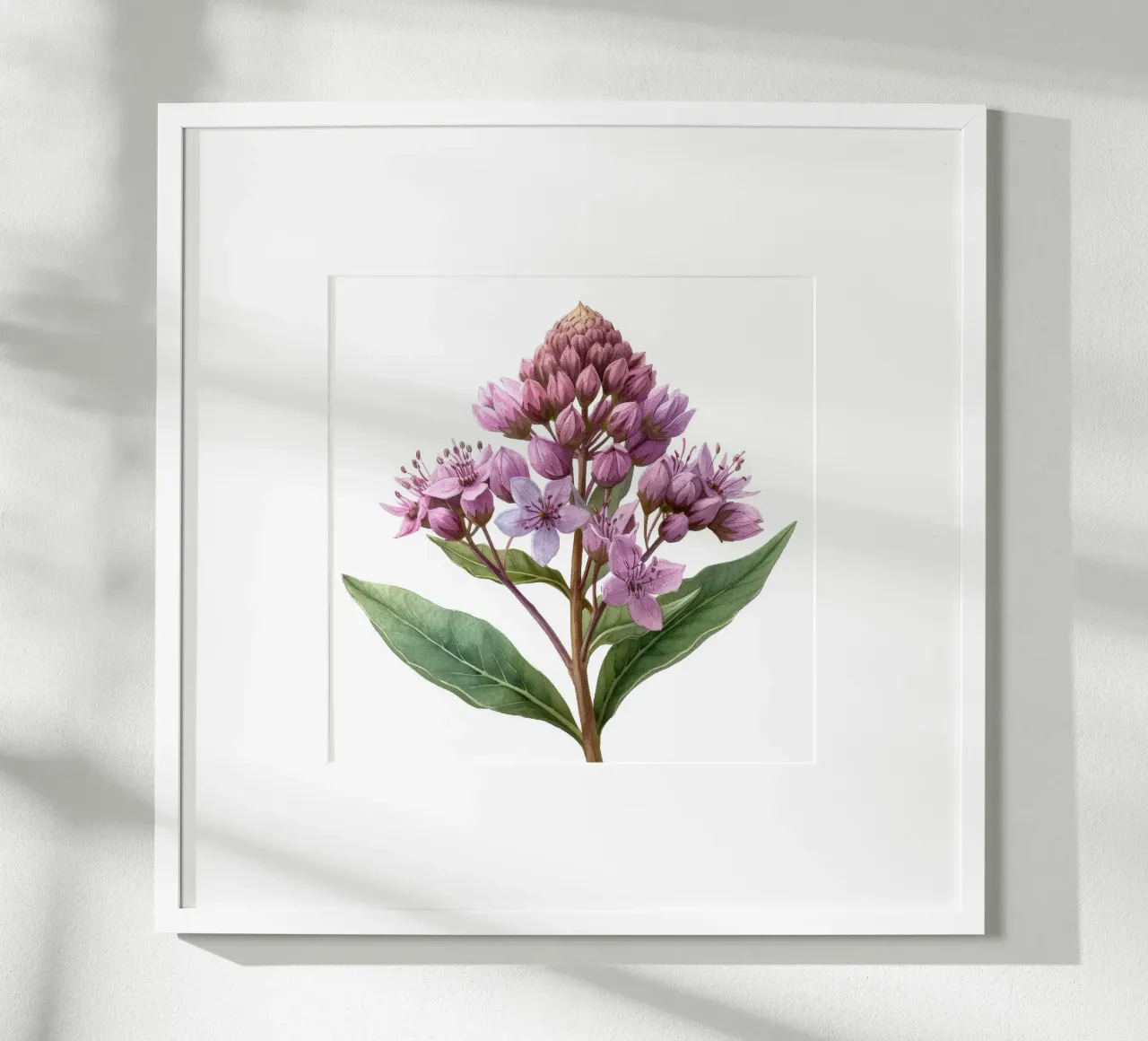 Joe Pye Weed Fiore 2 carta hahnemühle da Bold Blooms