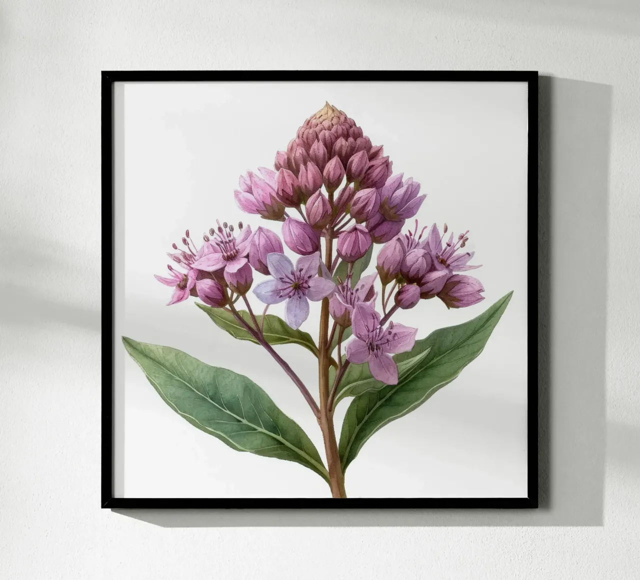Joe Pye Weed Fiore 2 carta hahnemühle da Bold Blooms