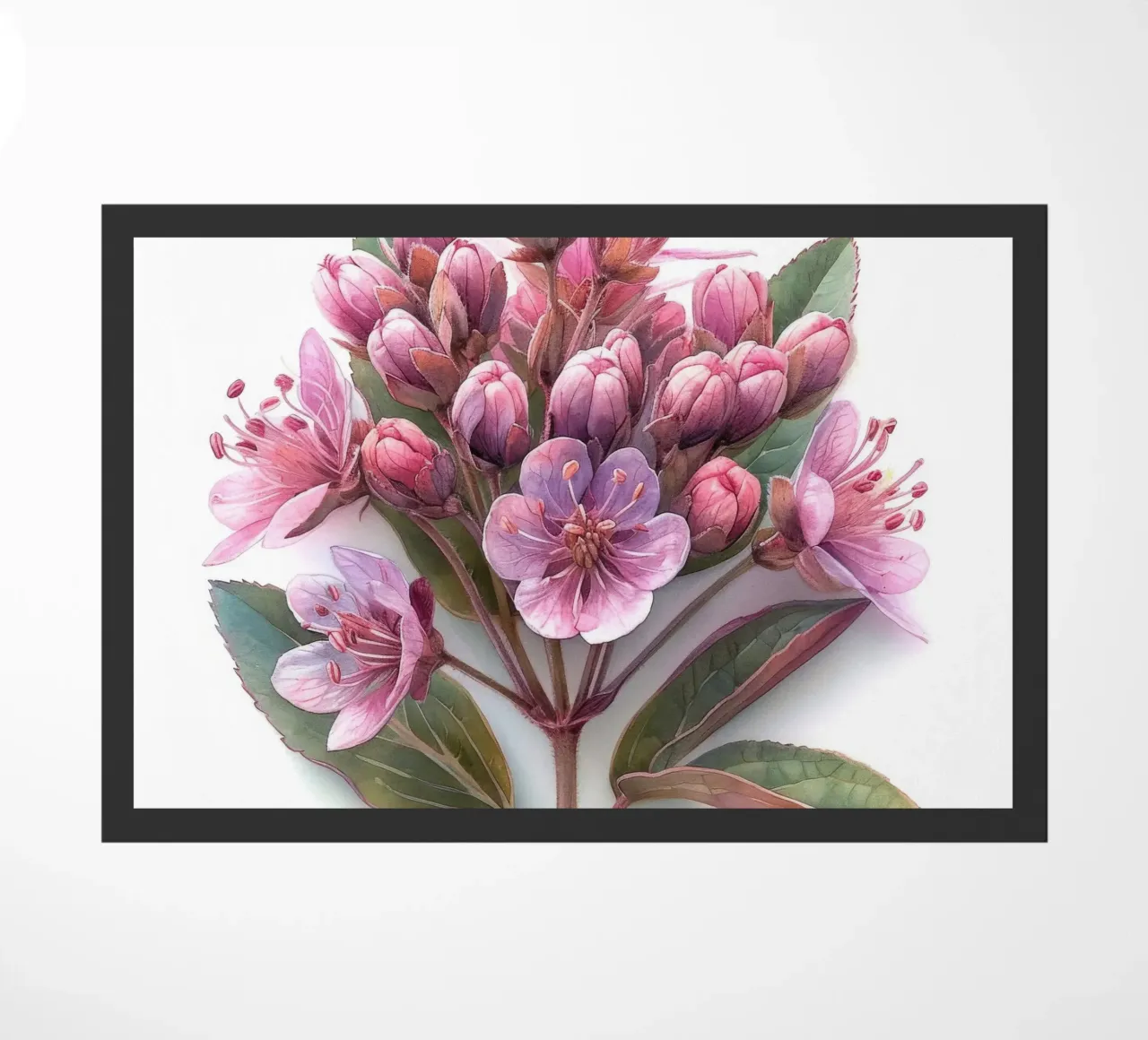 Joe Pye Weed Fiore 1 zerbino da Bold Blooms