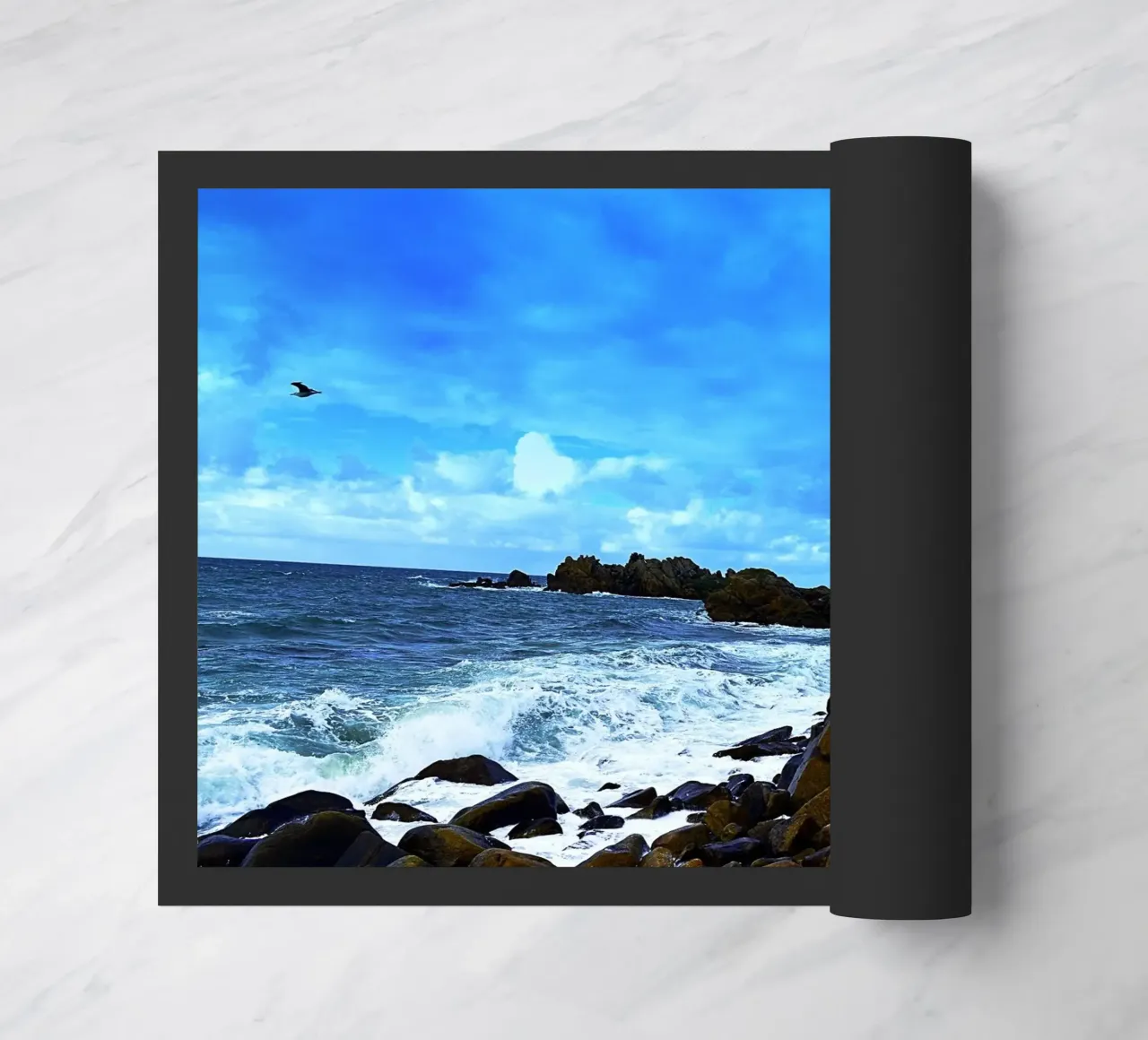 FAA202 zerbino da Thierry vobmann photography