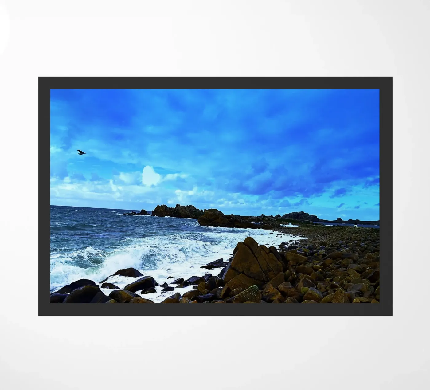 FAA202 zerbino da Thierry vobmann photography