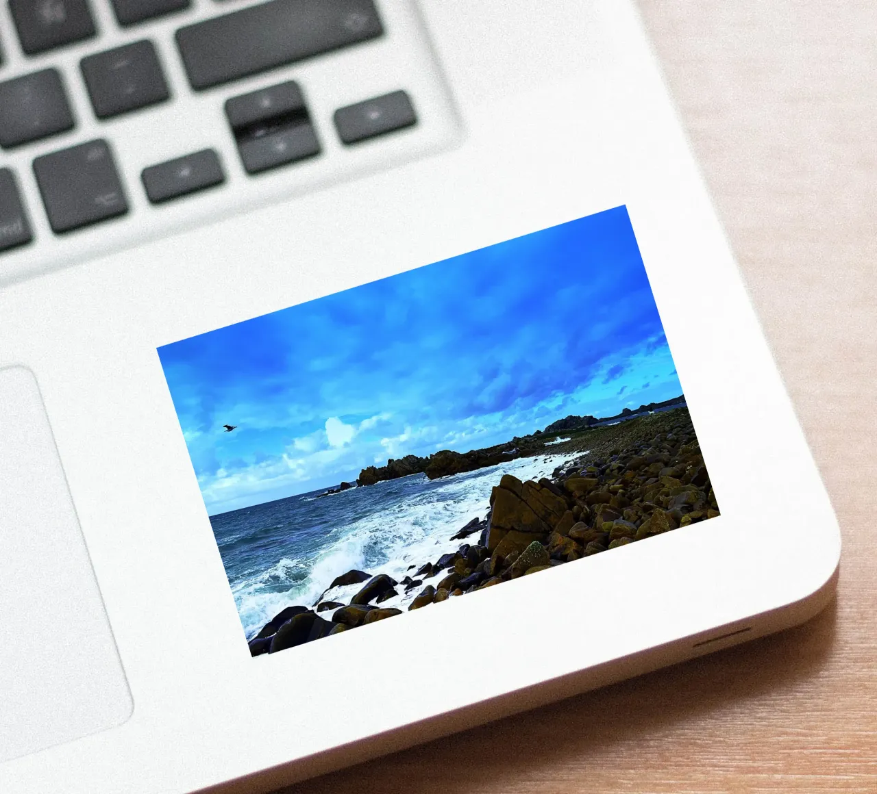 FAA202 sticker by Thierry vobmann photography