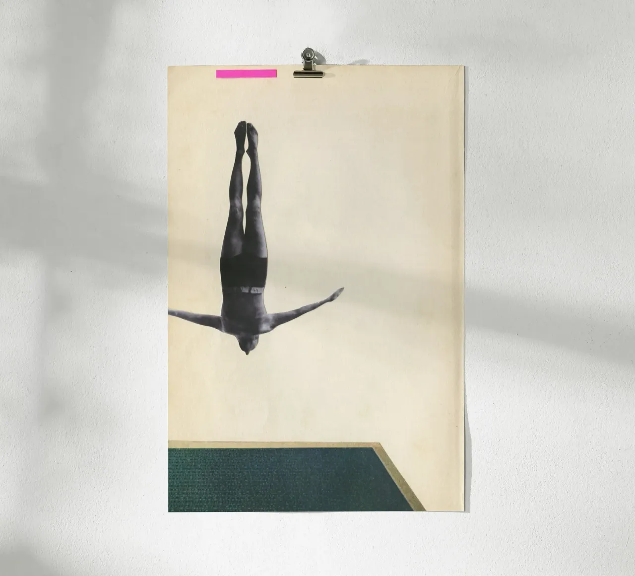 Swan Dive poster by Cassia Beck Collage