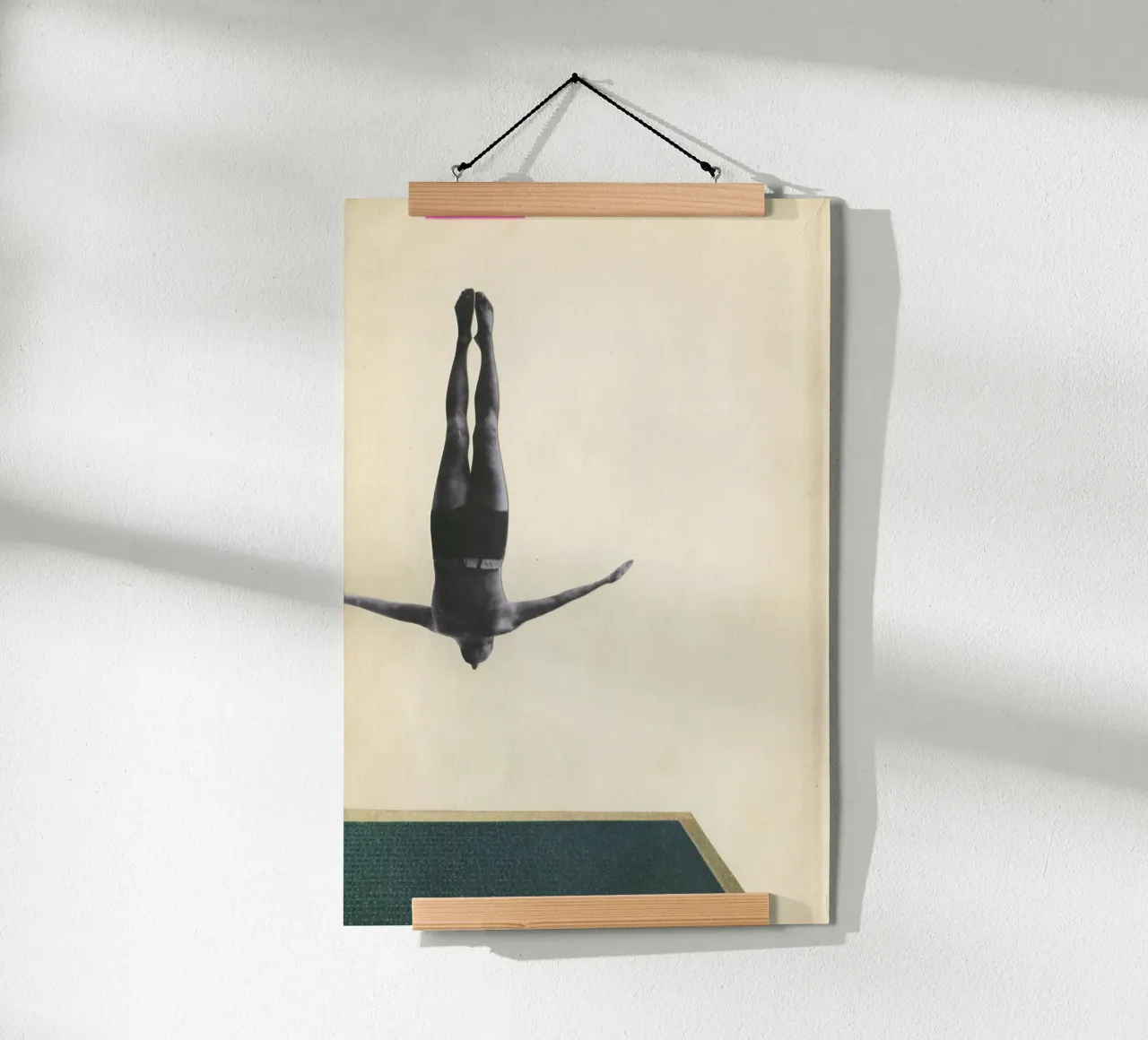 Swan Dive poster by Cassia Beck Collage