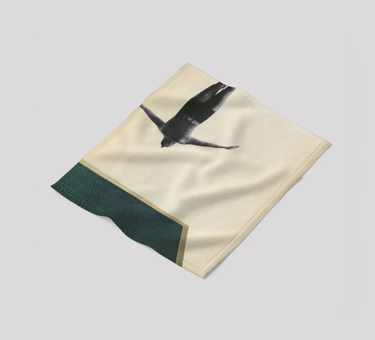 Immersione del cigno coperta in pile da Cassia Beck Collage