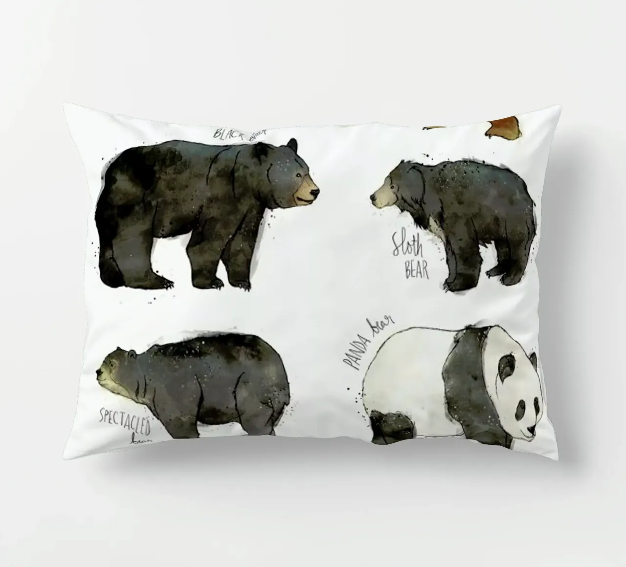Bears cuscino da Amy Hamilton