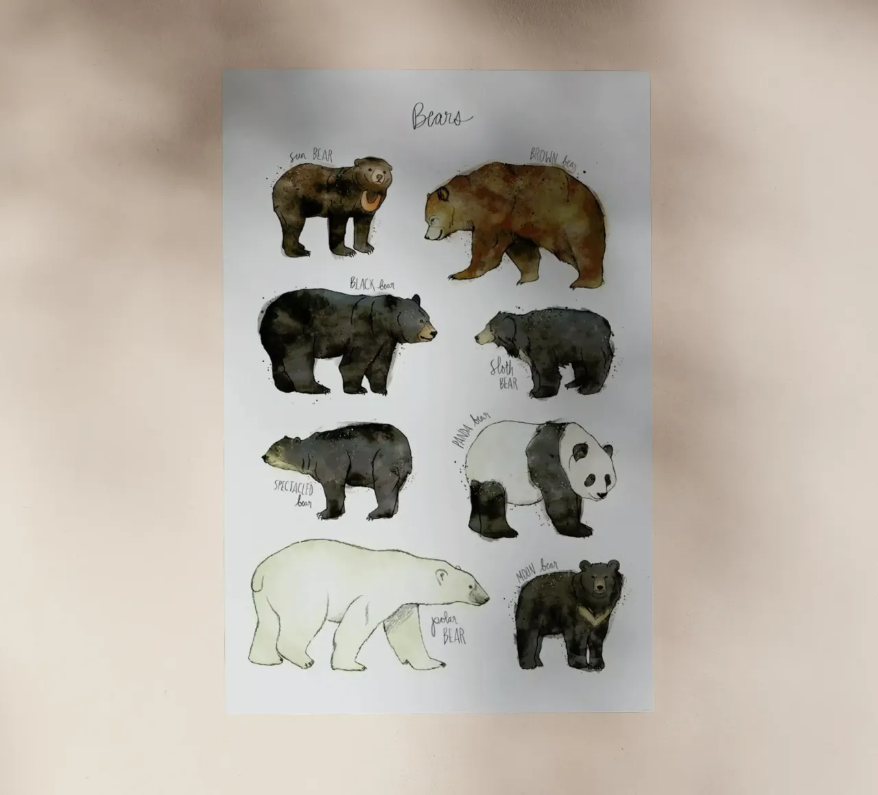 Bears pellicola backlit da Amy Hamilton