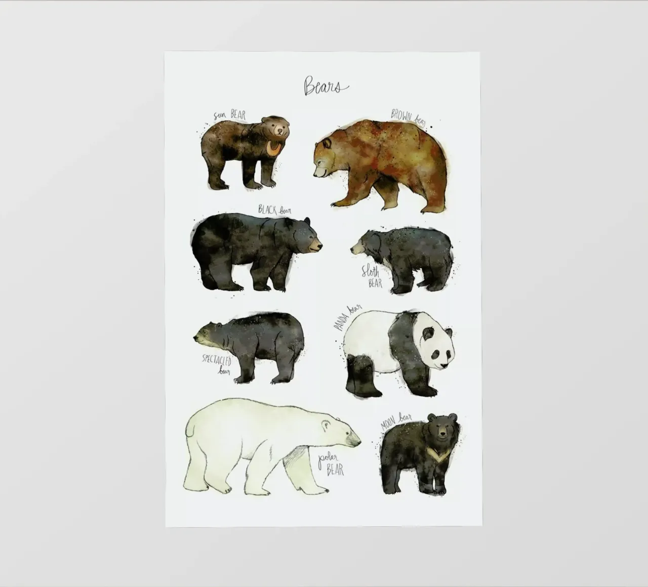 Bears pellicola backlit da Amy Hamilton