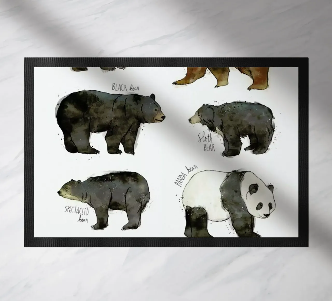 Bears zerbino da Amy Hamilton