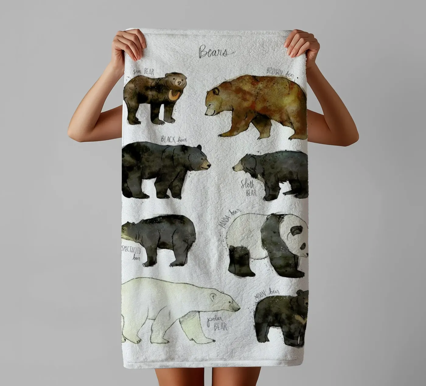 Bears towel by Amy Hamilton