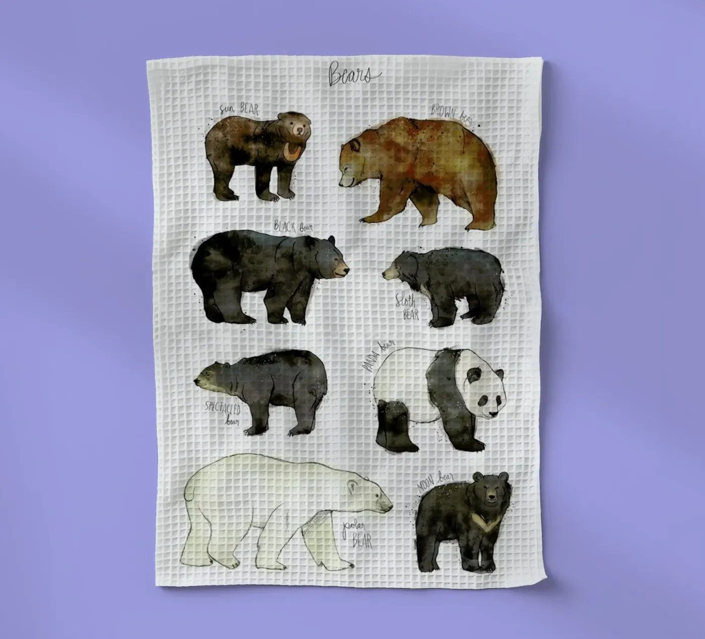 Bears Geschirrtuch von Amy Hamilton