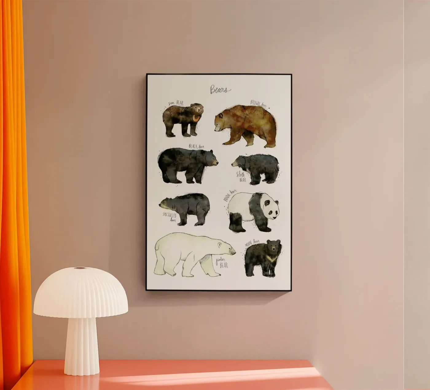 Bears plexiglass da Amy Hamilton