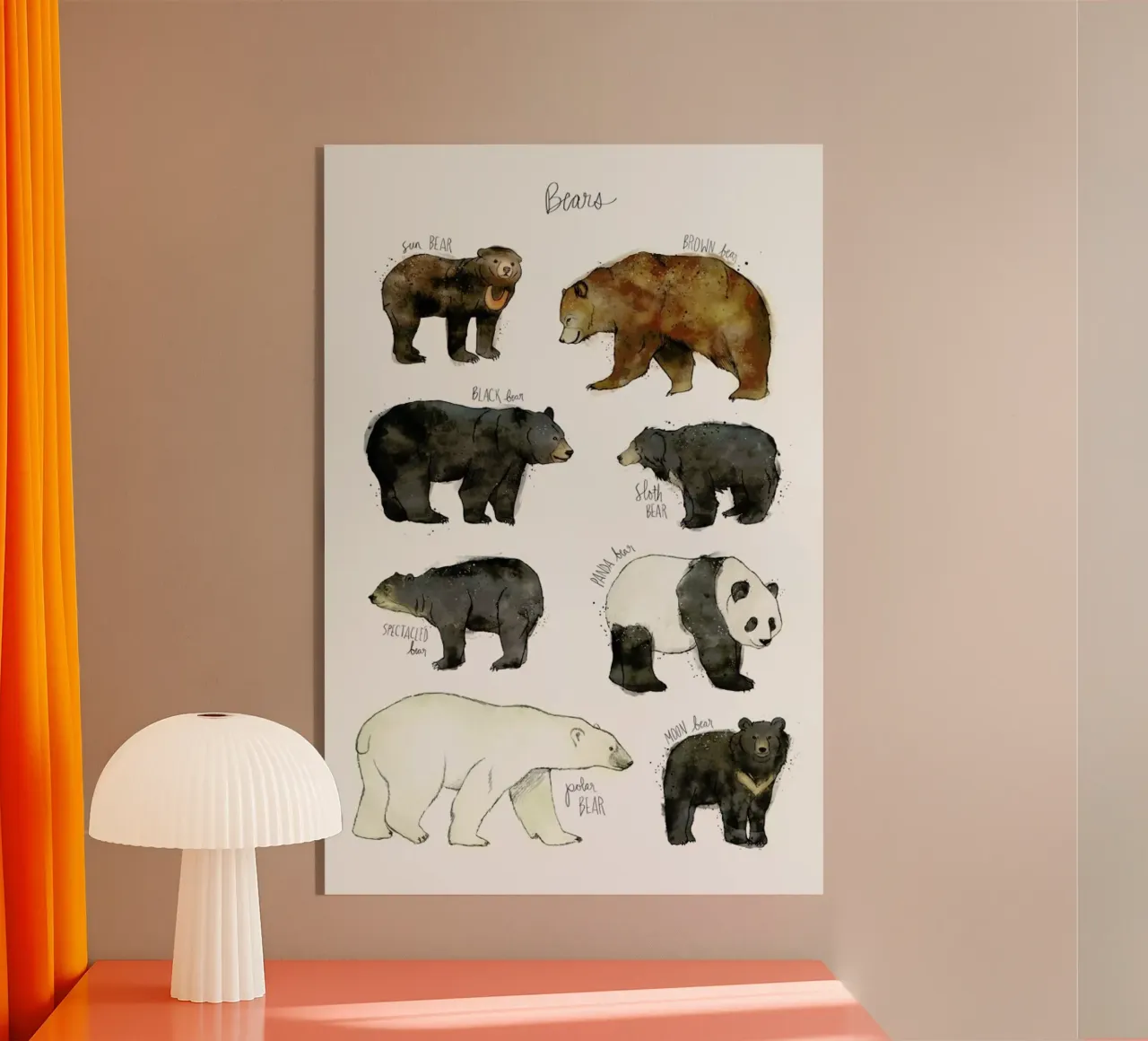 Bears plexiglass da Amy Hamilton