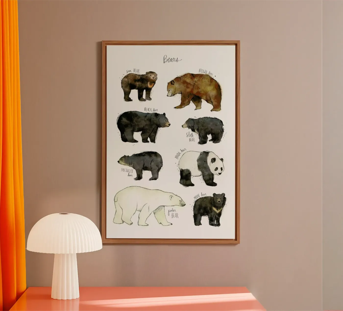 Bears forex plate by Amy Hamilton