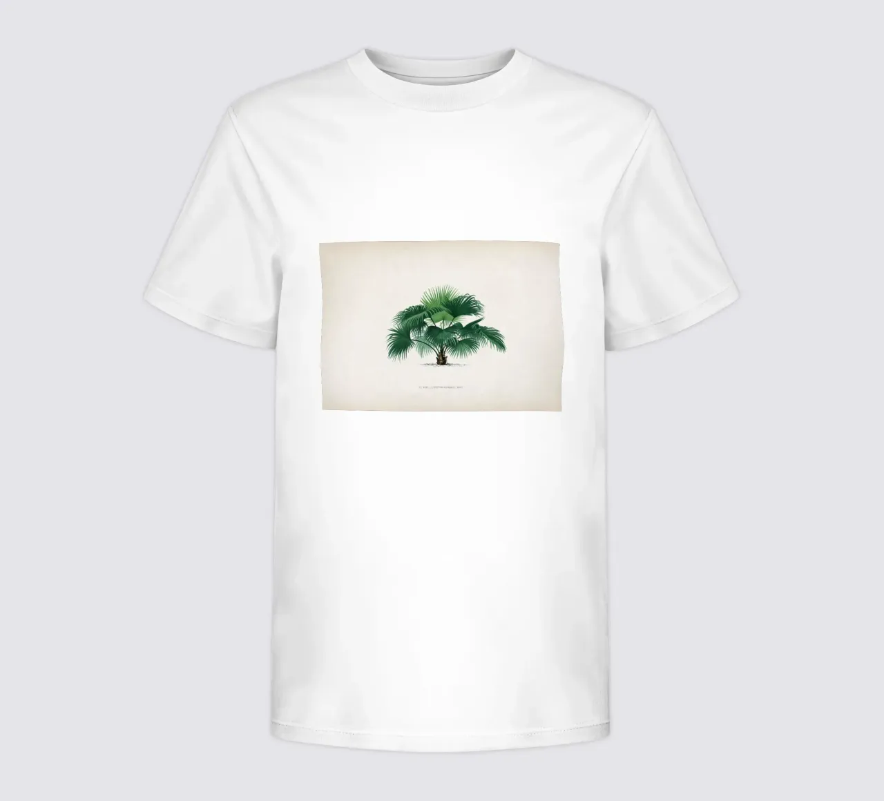 Vintage Kerchove 1 Les Palmiers 32 t-shirt bambini da Vintage Print Collection