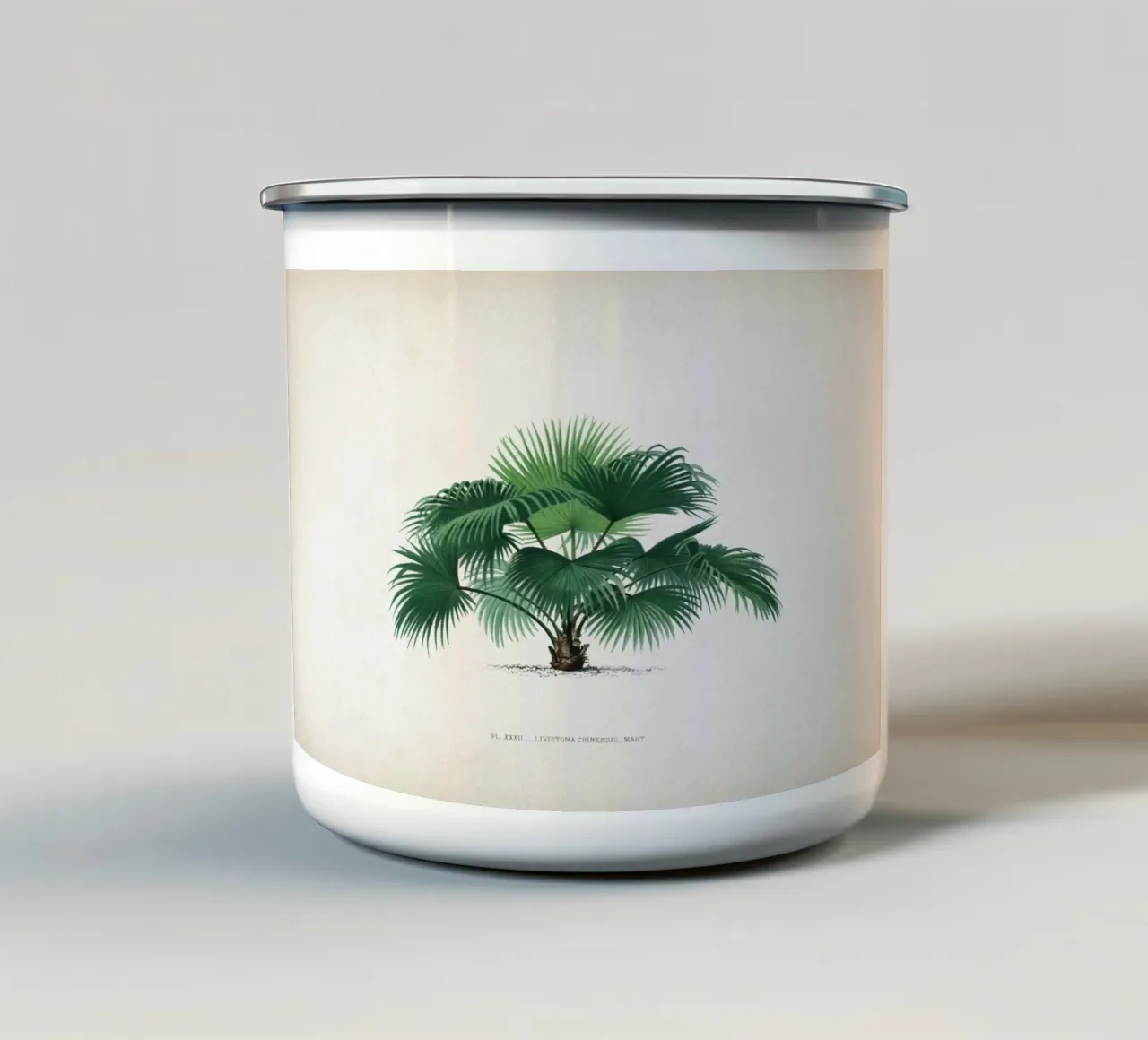 Vintage Kerchove 1 Les Palmiers 32 tazza in smalto da Vintage Print Collection