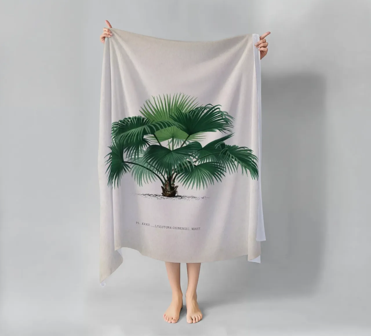 Vintage Kerchove 1 Les Palmiers 32 telo mare da Vintage Print Collection
