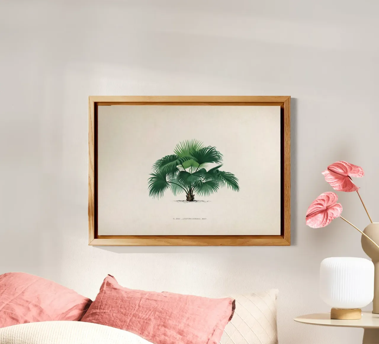 Vintage Kerchove 1 Les Palmiers 32 alluminio dibond da Vintage Print Collection
