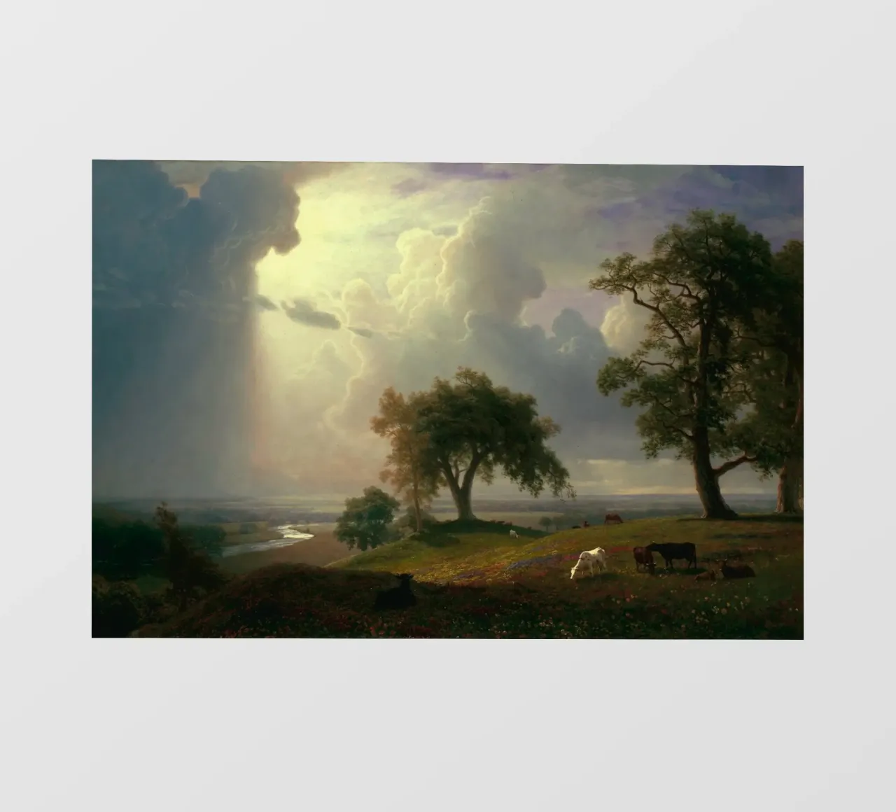 Albert Bierstadt - Primavera in California telo in pvc da Timeless Artworks