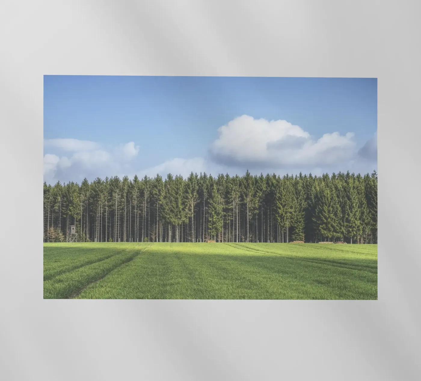 Odenwald pellicola backlit da Nur Mut