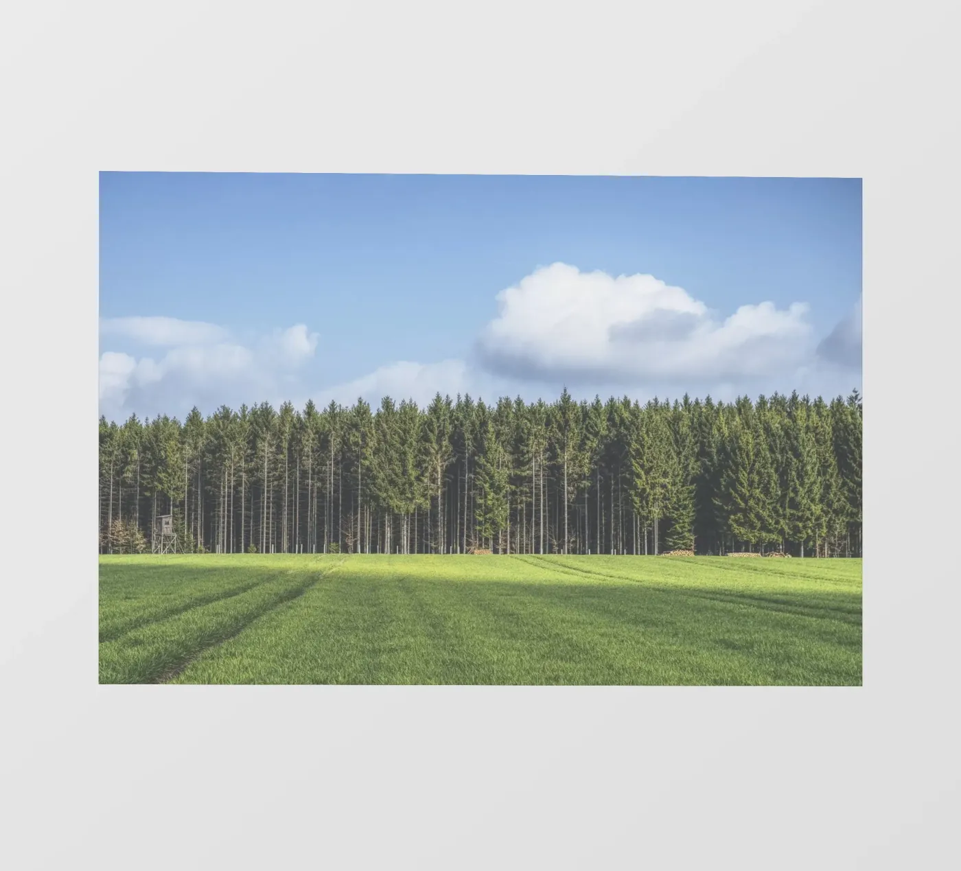 Odenwald pellicola backlit da Nur Mut