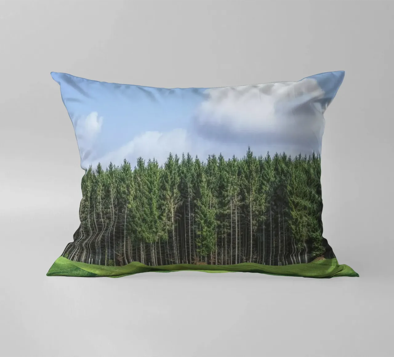 Odenwald decorative cushion by Nur Mut