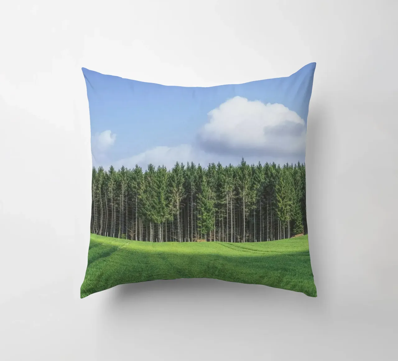 Odenwald decorative cushion by Nur Mut