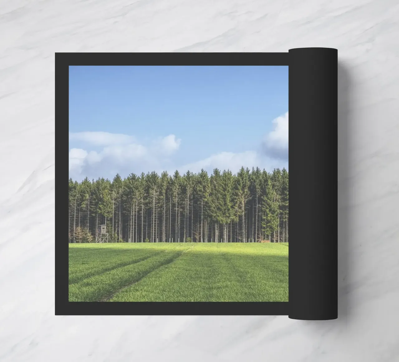 Odenwald zerbino da Nur Mut