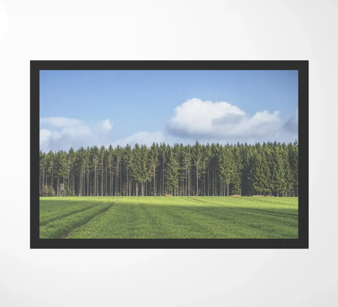 Odenwald deurmat van Nur Mut