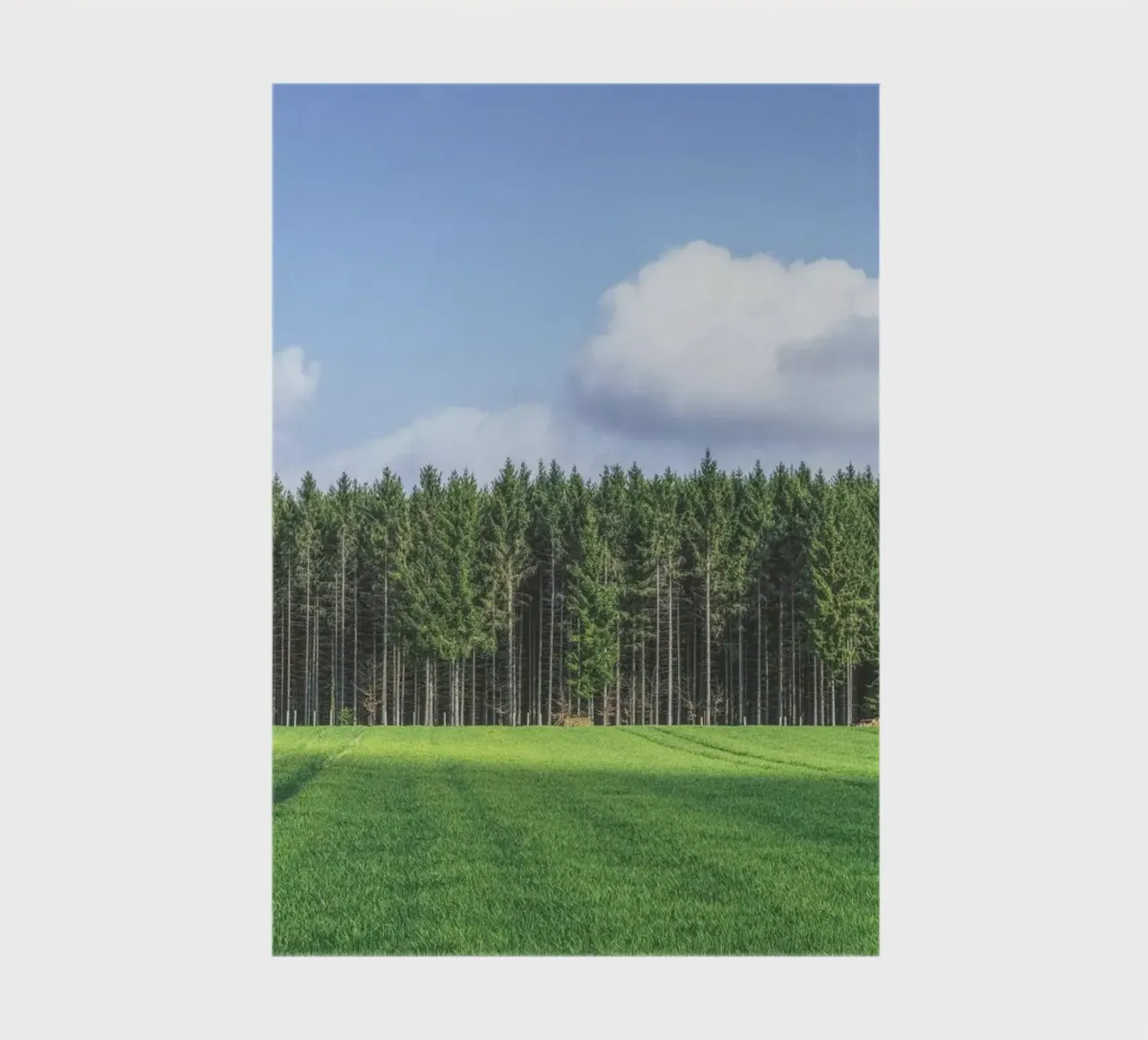 Odenwald notebook by Nur Mut