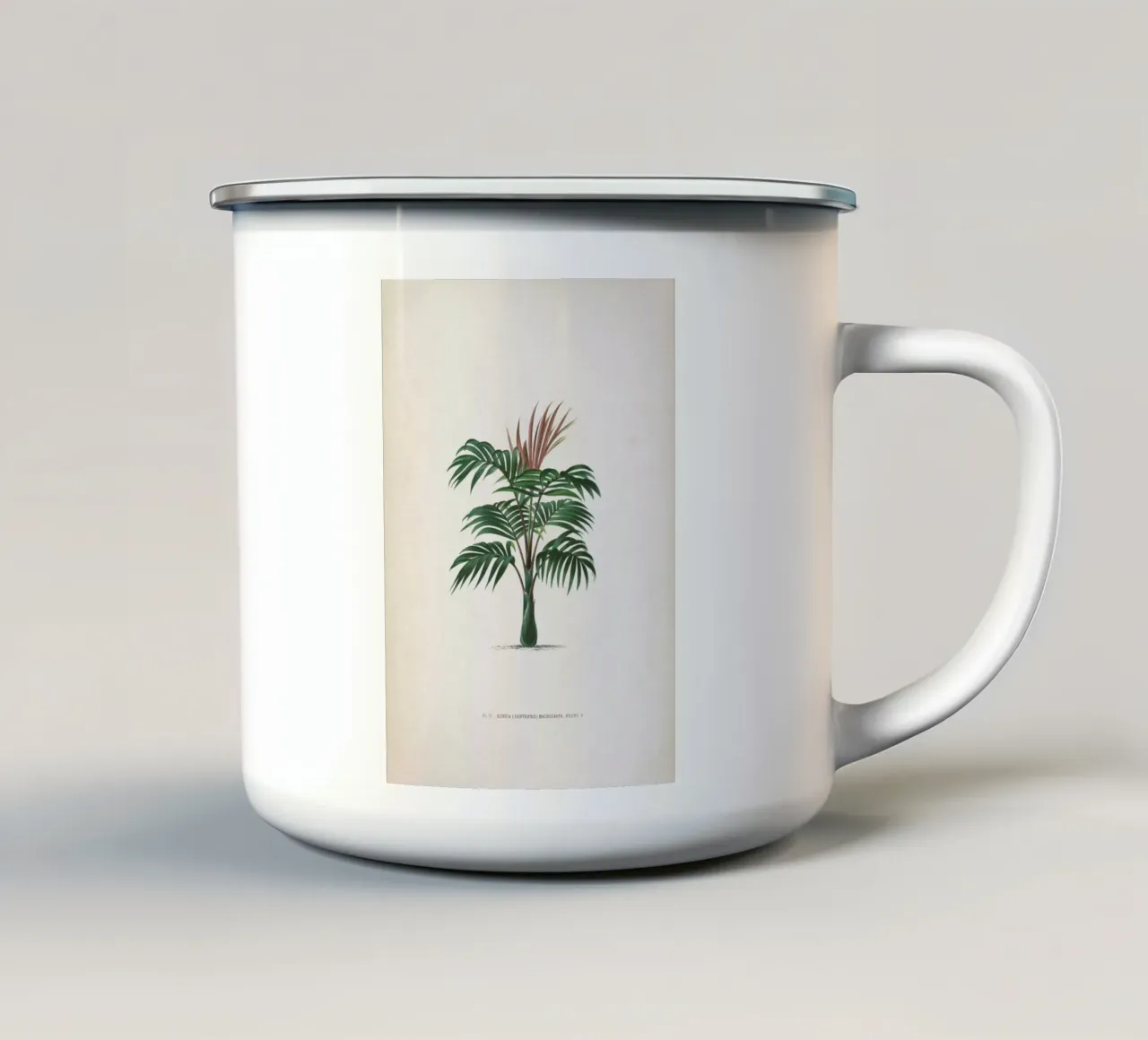 Vintage Kerchove 2 Les Palmiers 6 tazza in smalto da Vintage Print Collection