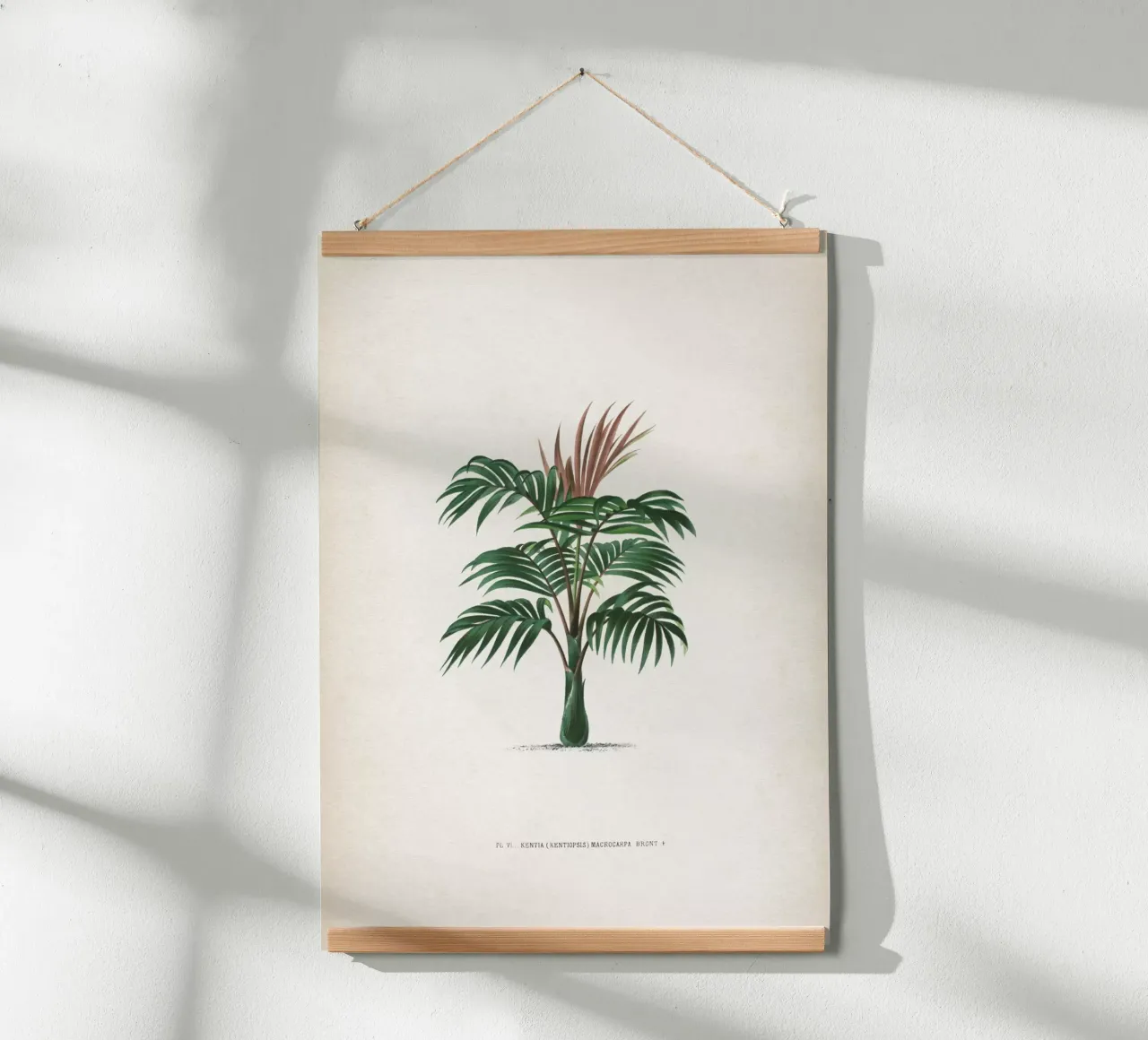 Vintage Kerchove 2 Les Palmiers 6 poster con telaio in plastica da Vintage Print Collection