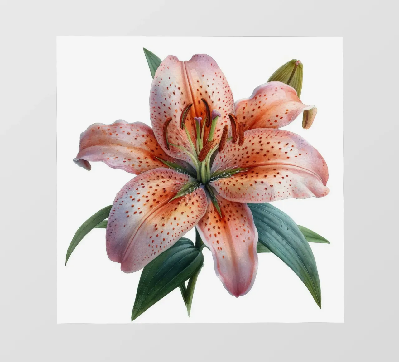 Fiore di giglio 4 telo in pvc da Bold Blooms