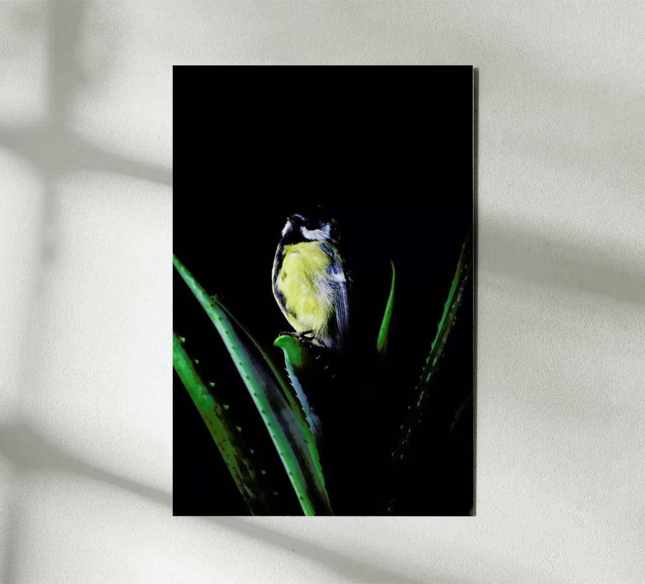 Birds Everywhere 6 alluminio dibond da Günther Egger