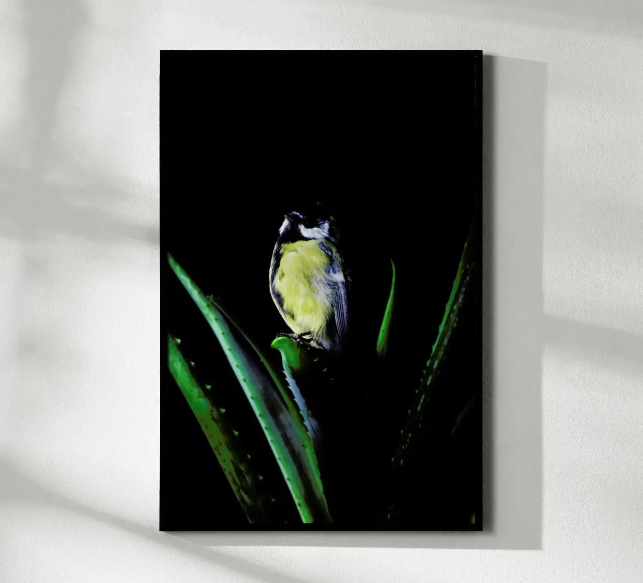 Birds Everywhere 6 carta hahnemühle da Günther Egger