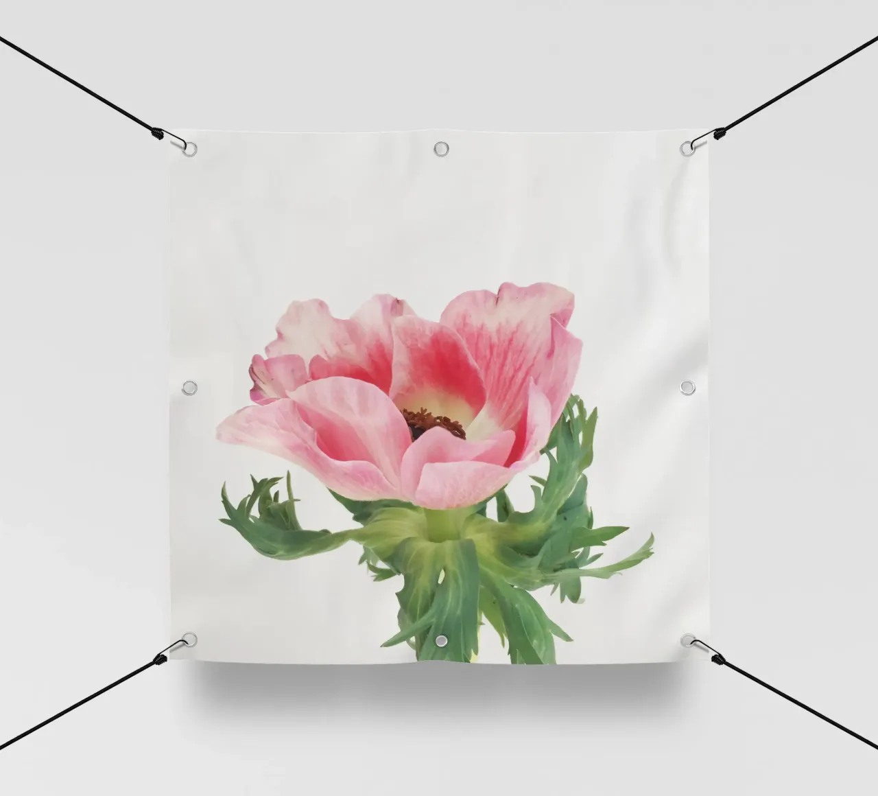 Anemone rosa telo in pvc da Cassia Beck Photography