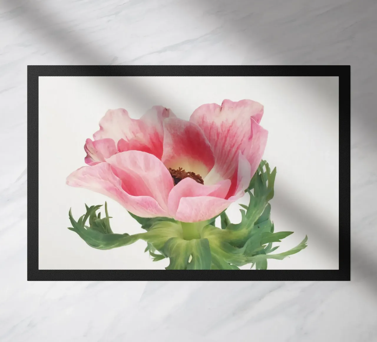 Anemone rosa zerbino da Cassia Beck Photography