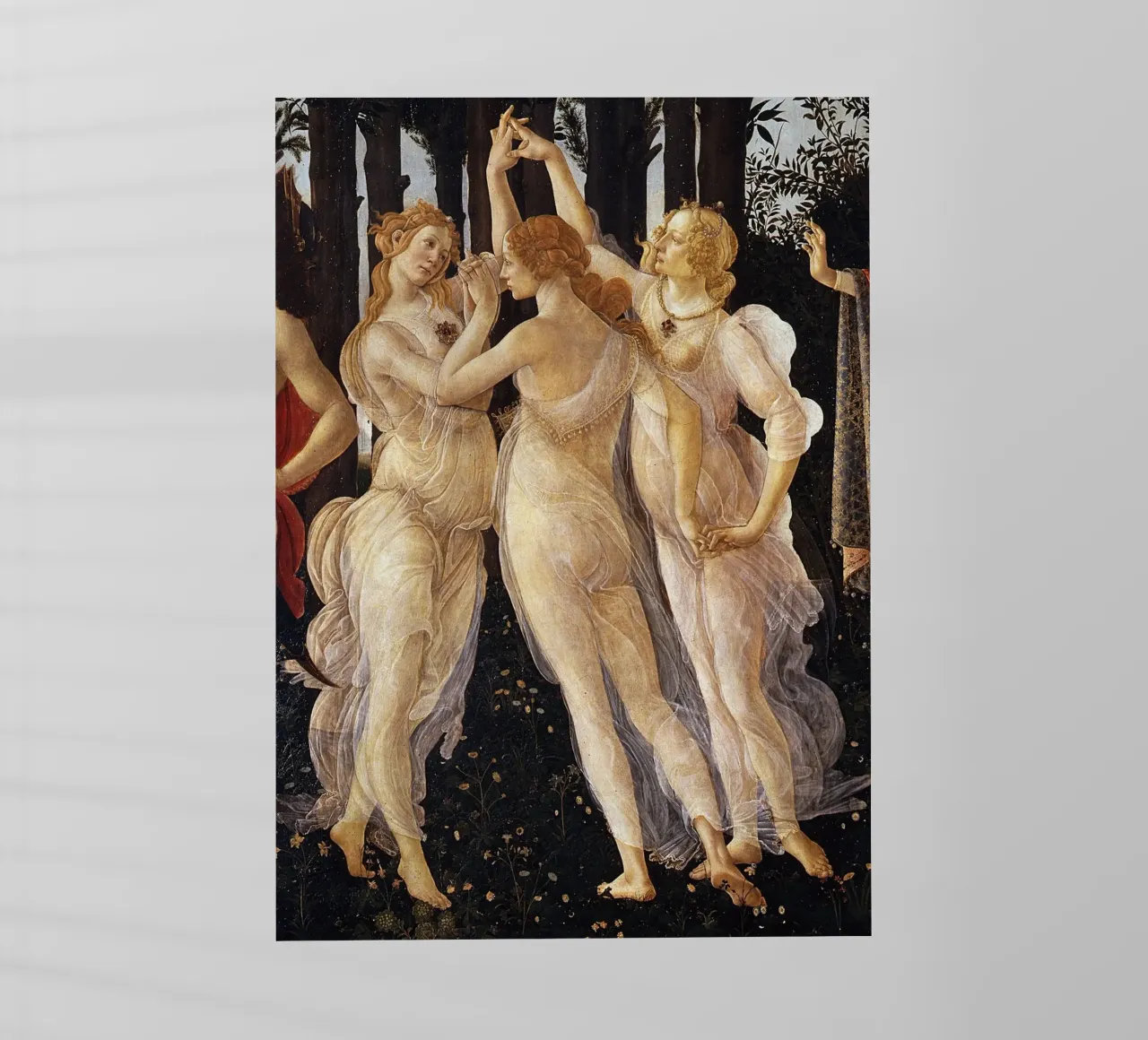 Le tre grazie - Botticelli pellicola backlit da Timeless Artworks