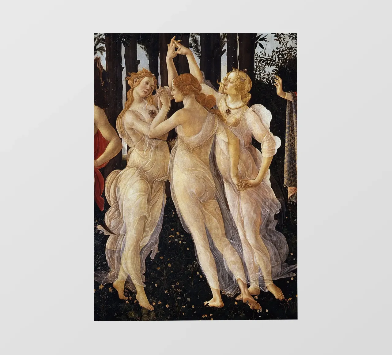 Le tre grazie - Botticelli pellicola backlit da Timeless Artworks