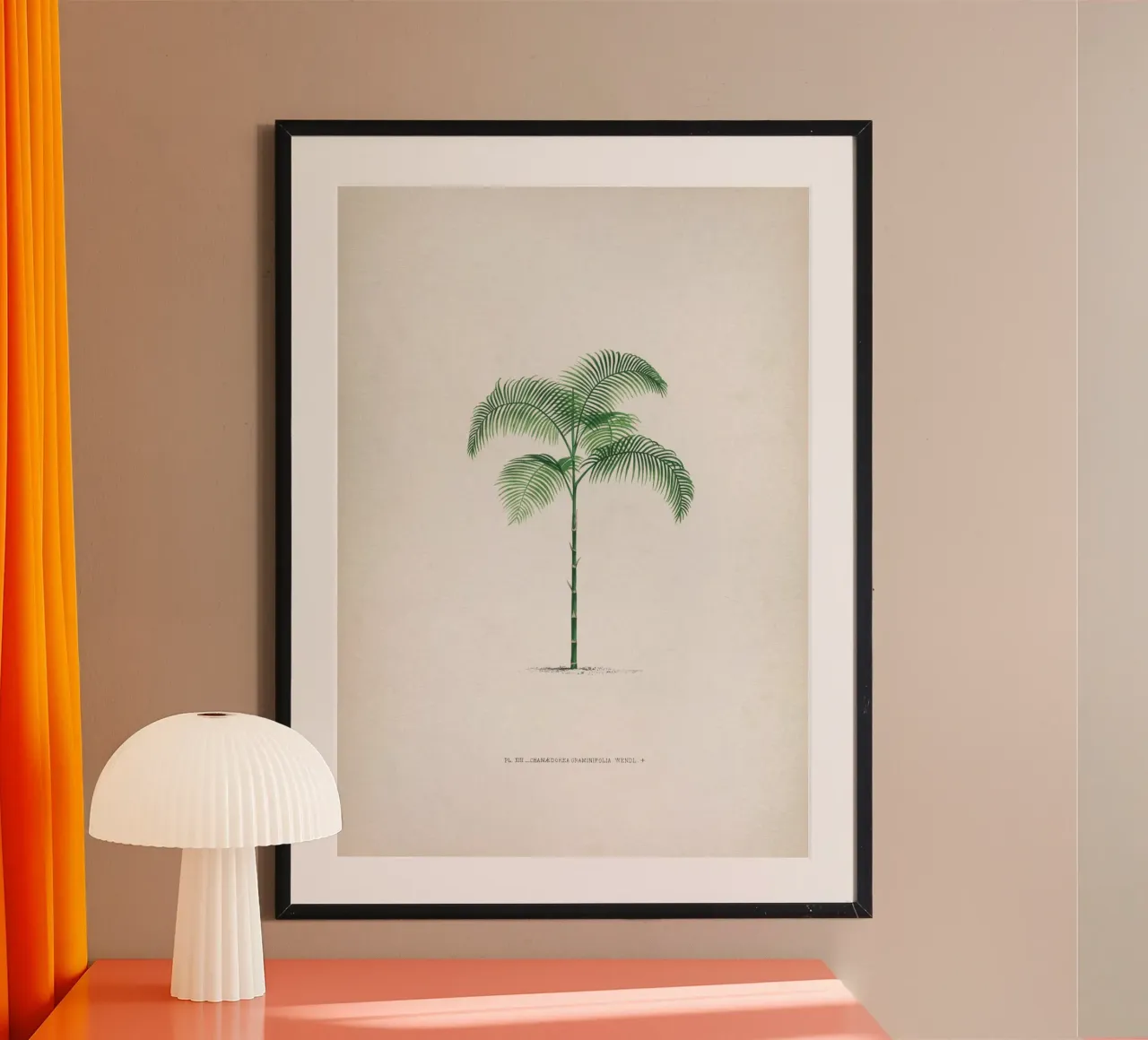 Vintage Kerchove 2 Les Palmiers 13 poster con telaio in legno da Vintage Print Collection