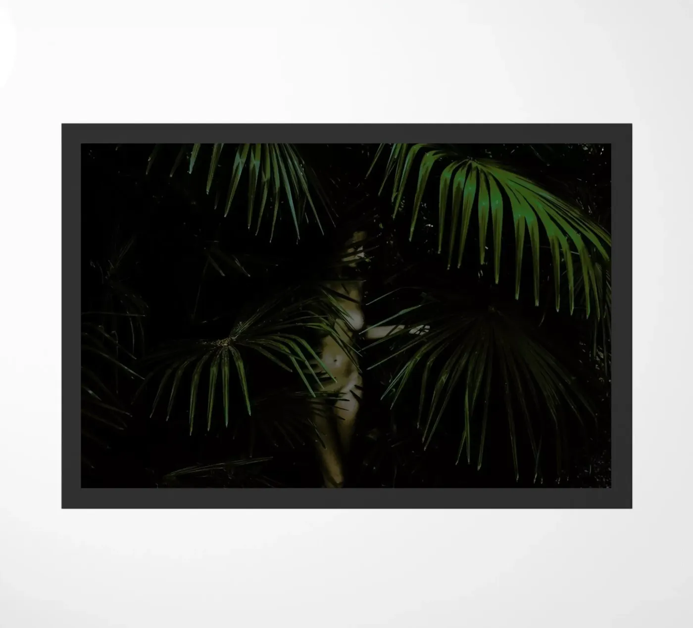 Palm Lover zerbino da Matevž Kosterov
