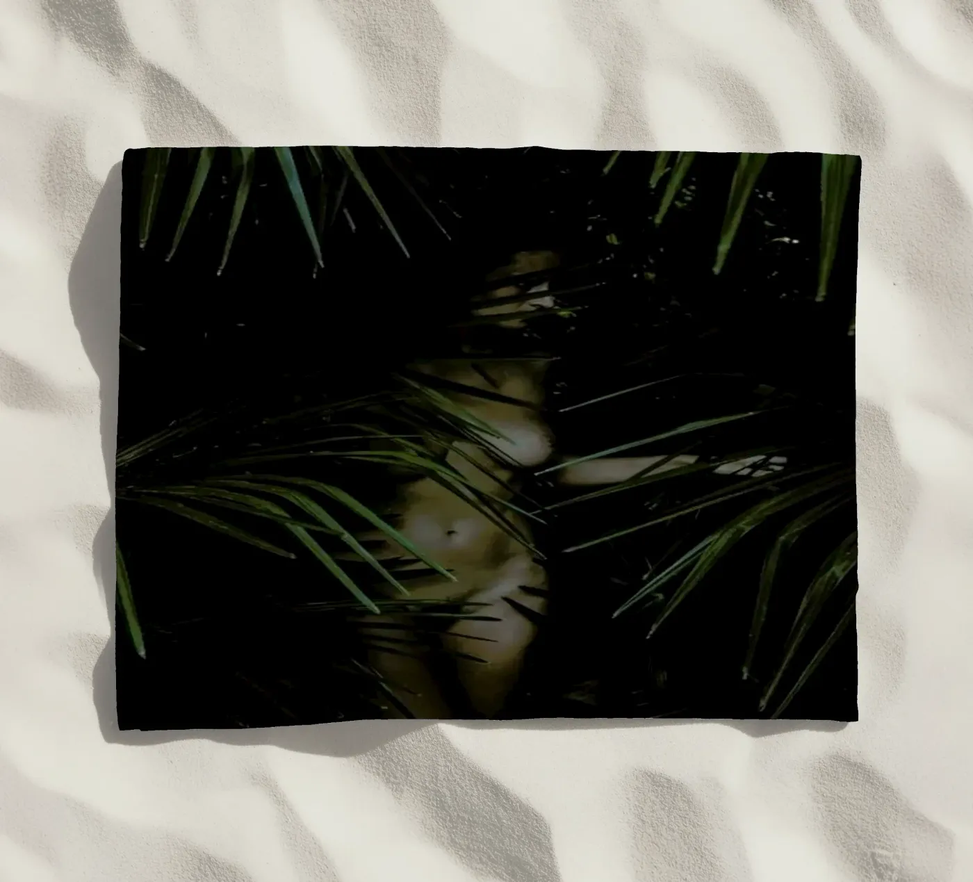 Palm Lover telo mare da Matevž Kosterov