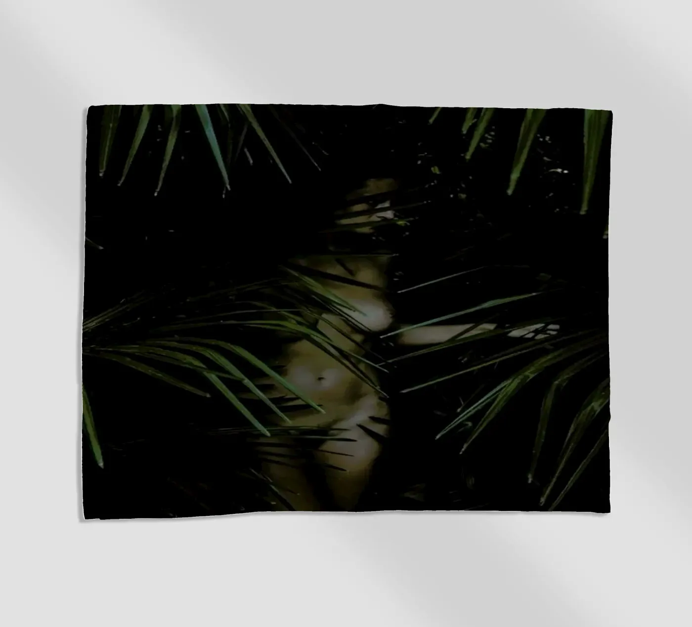 Palm Lover telo mare da Matevž Kosterov