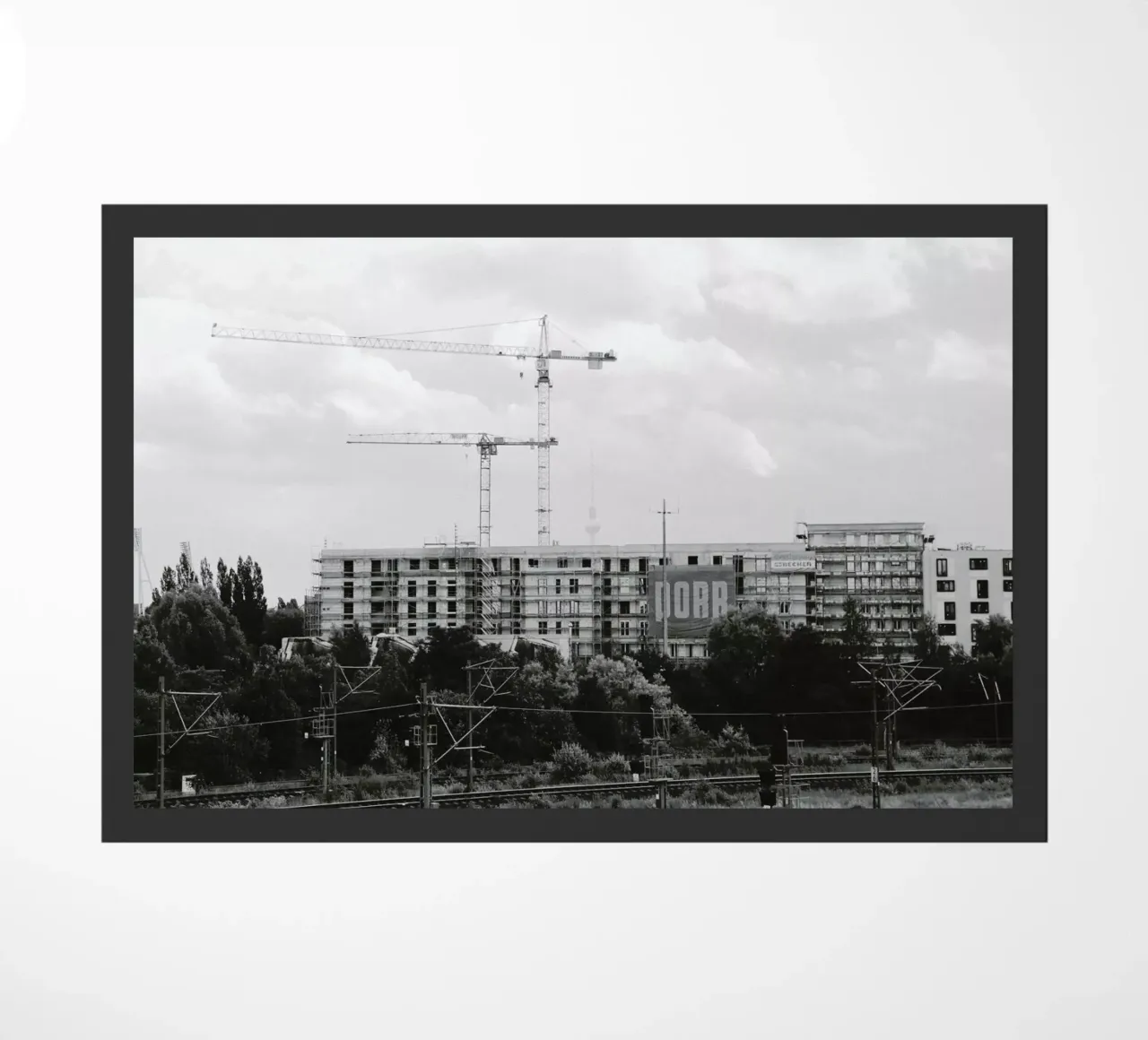 Berlin zerbino da Florent Bodart