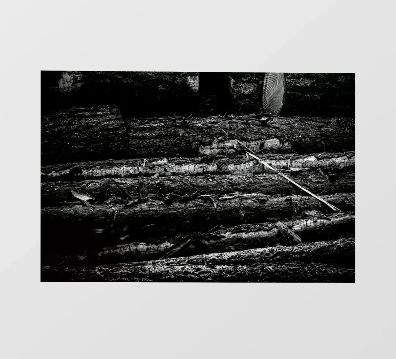 The Logs pellicola backlit da Dustin Janko