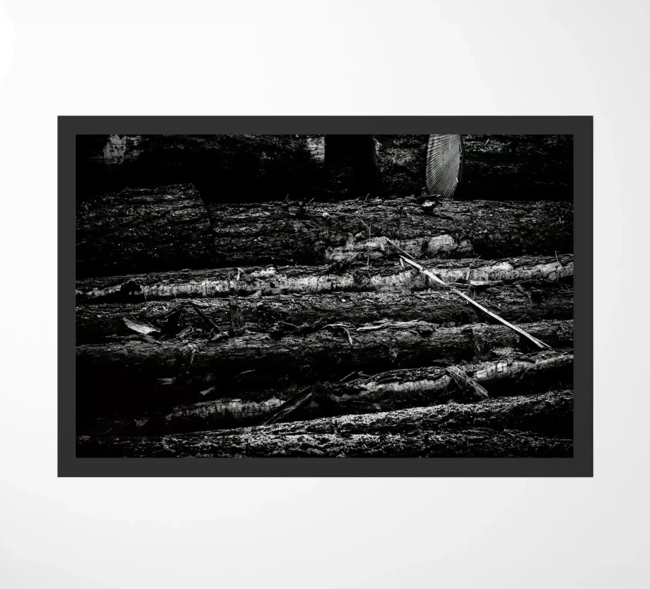 The Logs zerbino da Dustin Janko