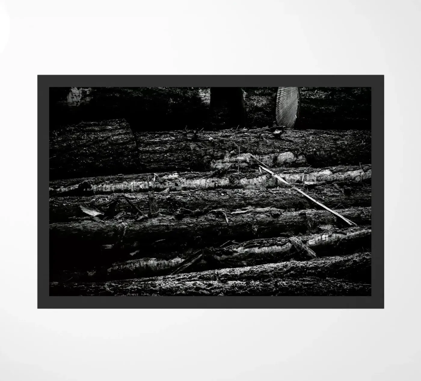The Logs zerbino da Dustin Janko
