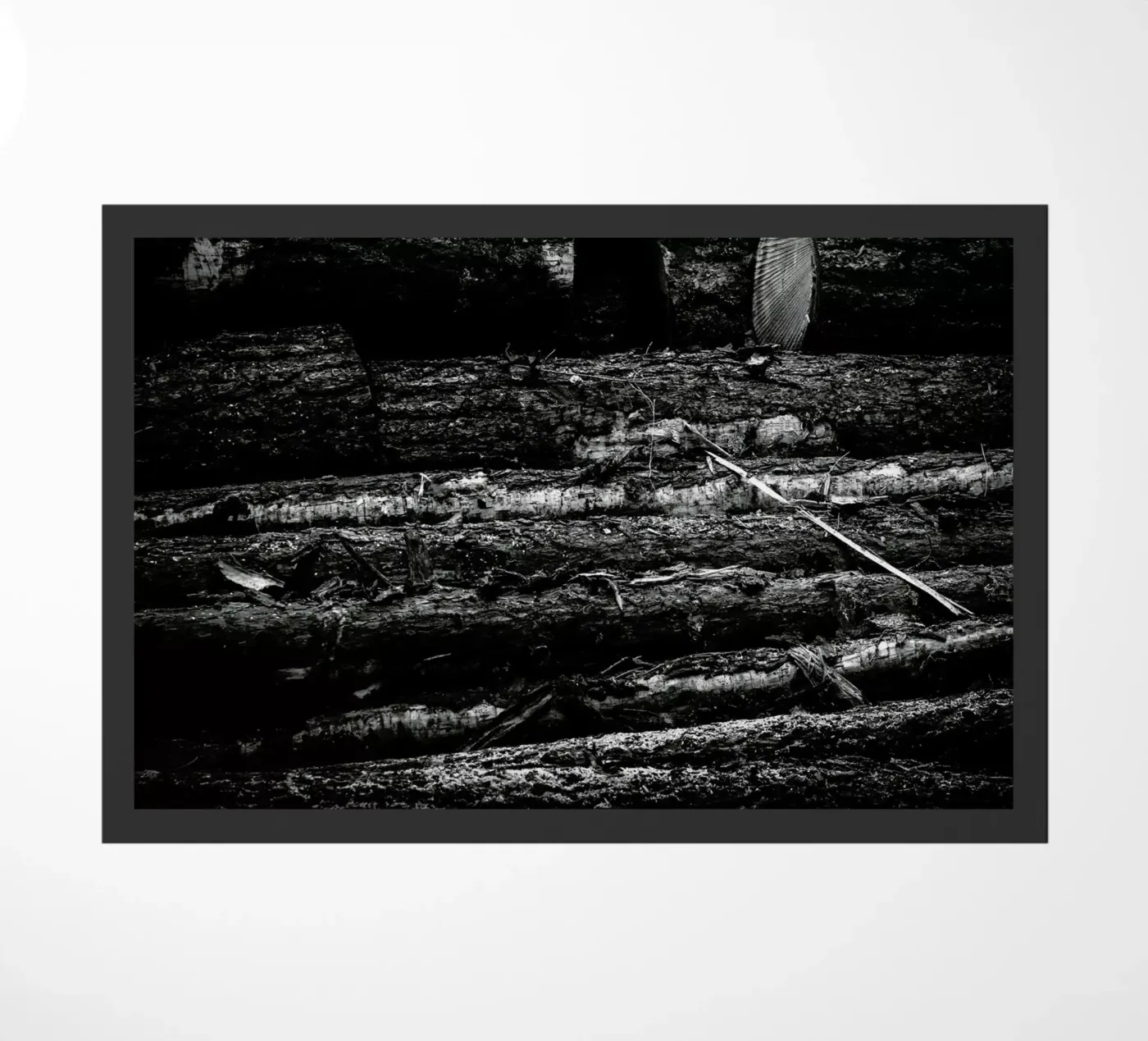 The Logs zerbino da Dustin Janko